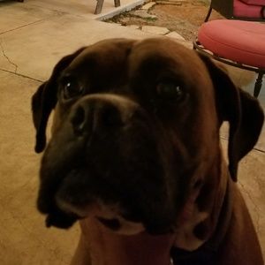 Meet your Posher, Al